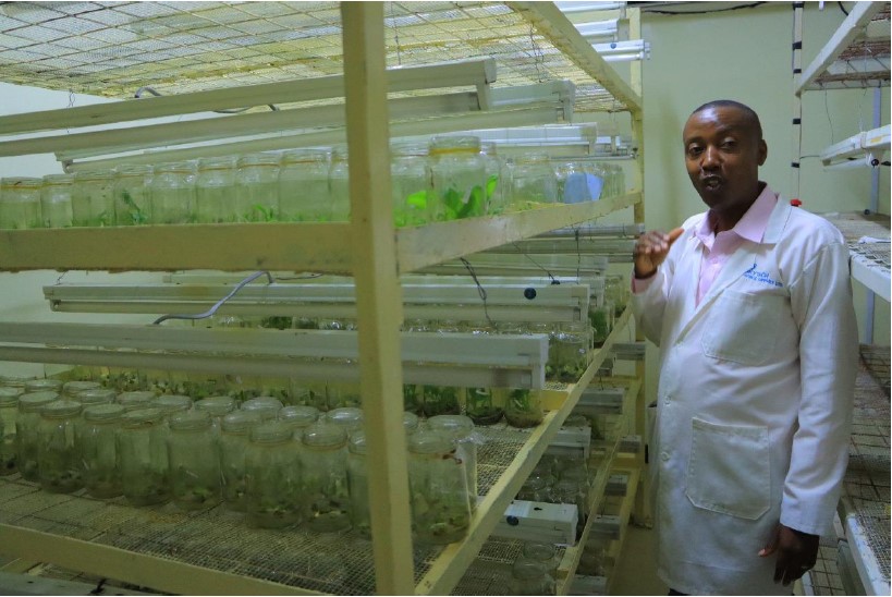 Biotechnology Lab for Crop Production. Photo