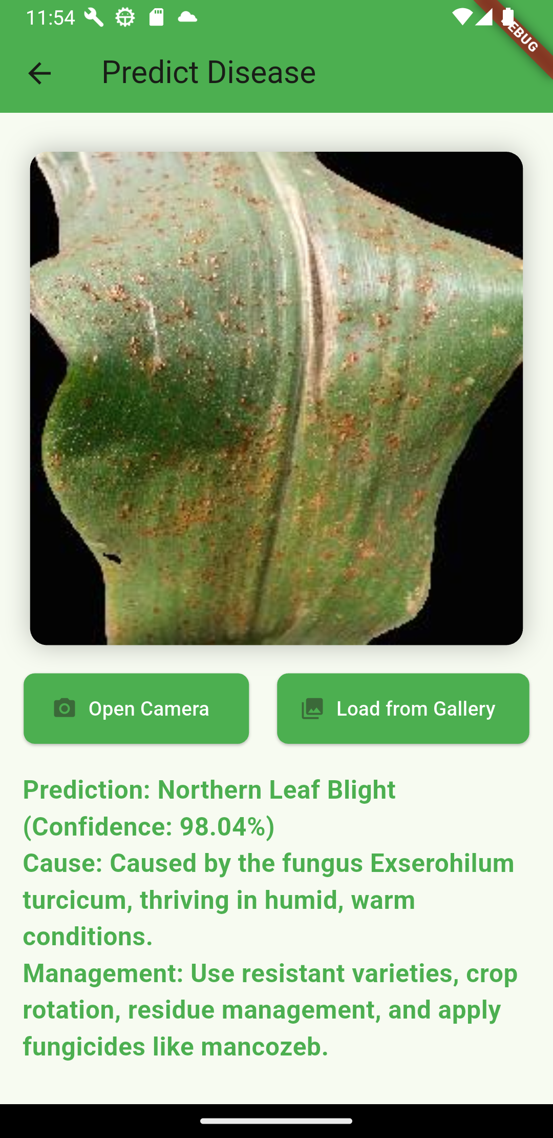 Research Image